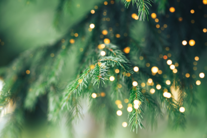 Svētku egles iedegšanas pasākums 2025!