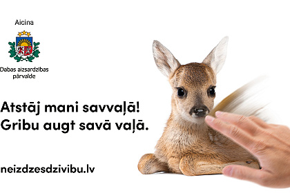 Savvaļas dzīvniekiem lielākoties palīdzība nav nepieciešama