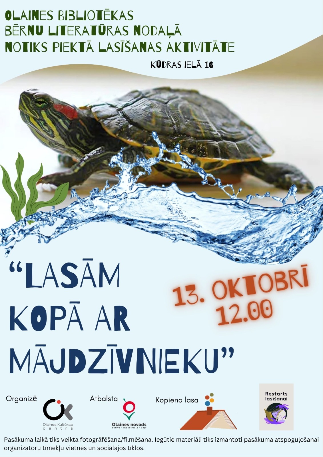 brunjurupuci