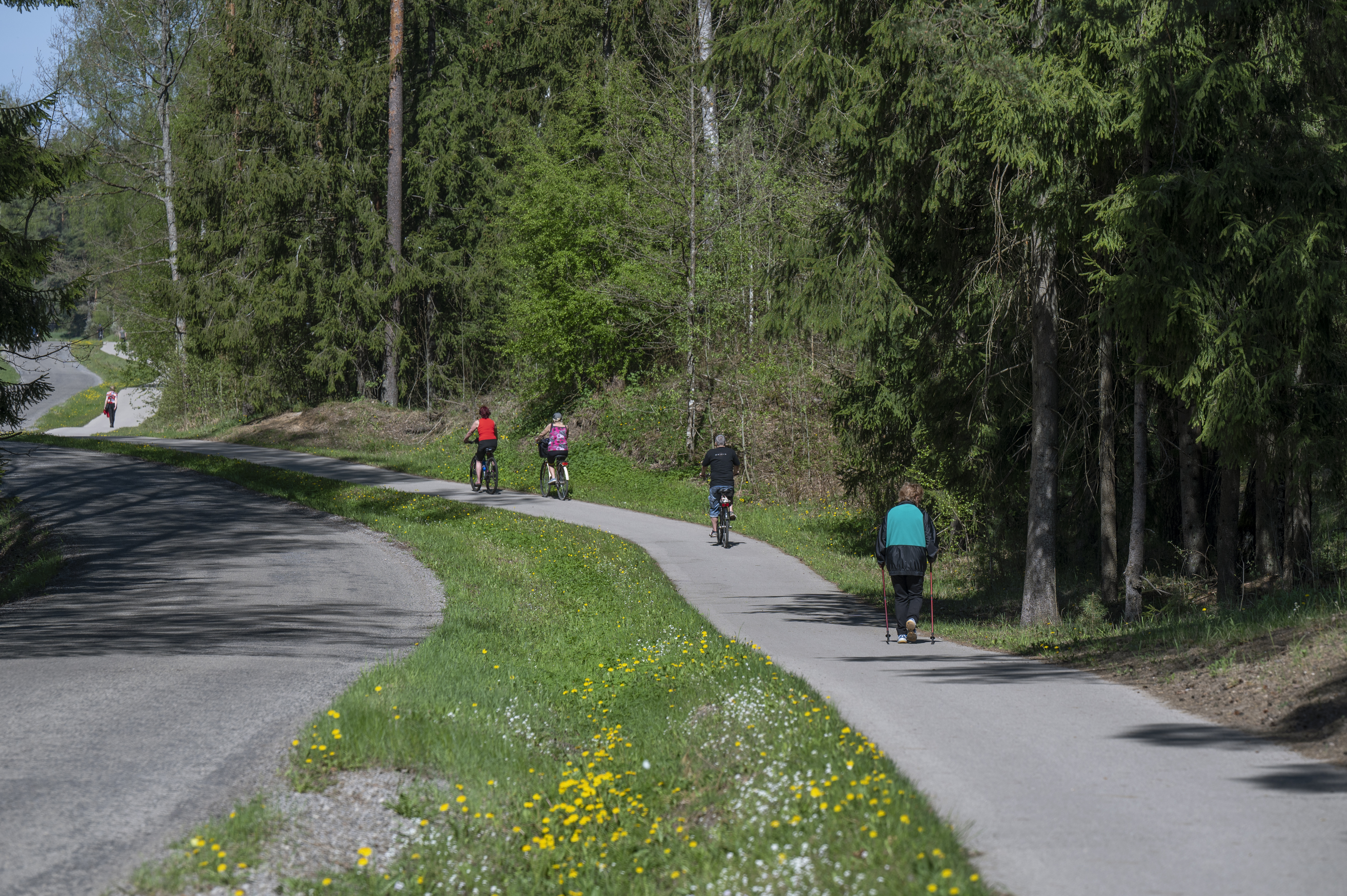 Gājēju un velosipēdu ceļš no Olaines uz Līdumu karjeru