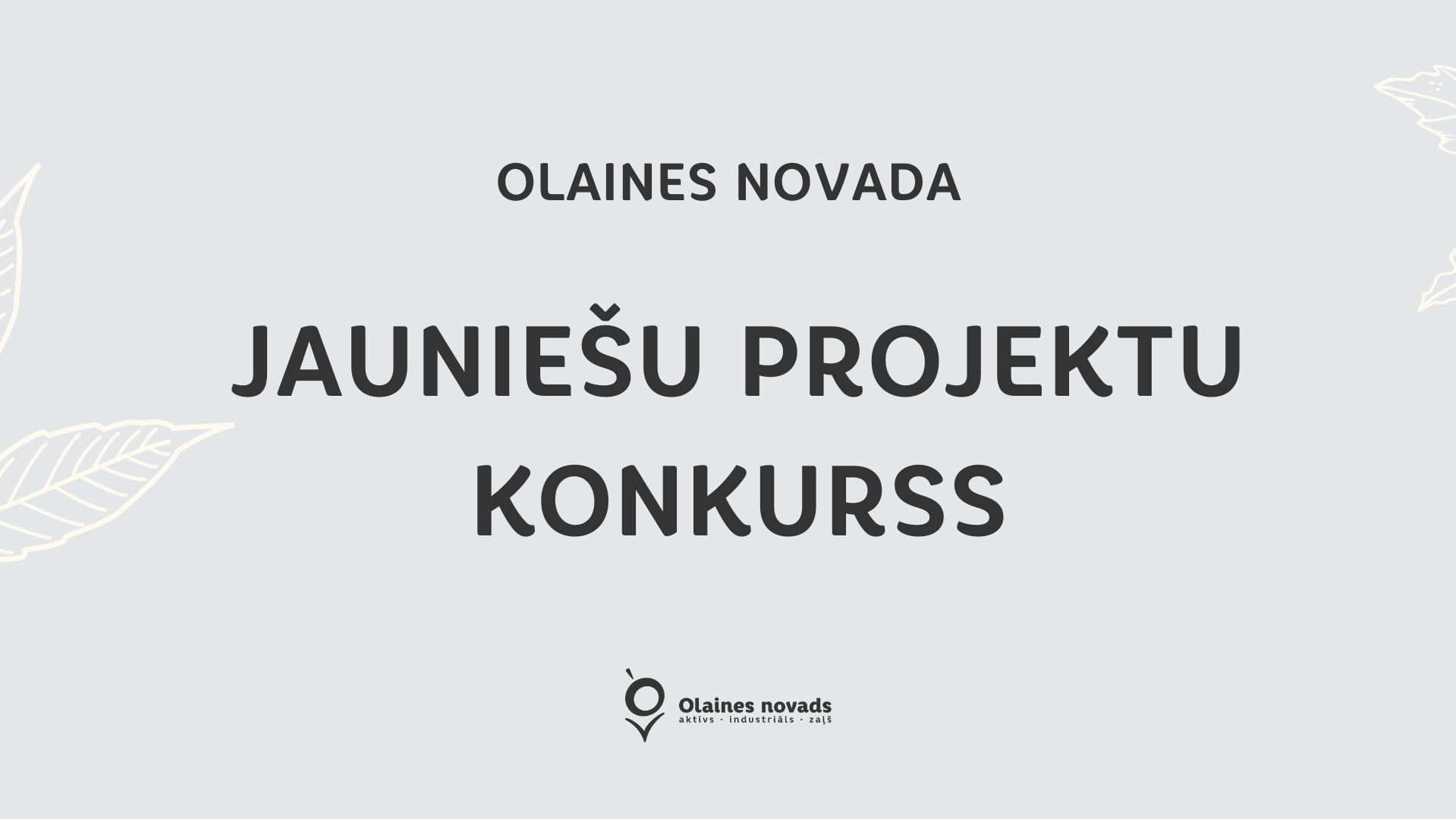 Izsludināta Olaines novada jauniešu projektu konkursa 2.kārta