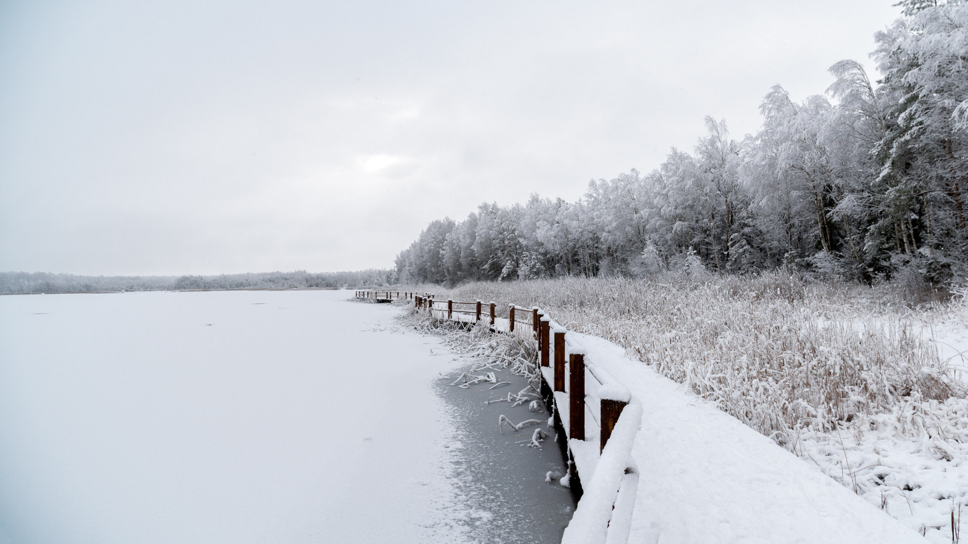 Aicinām iedzīvotājus arī ziemas laikā apmeklēt Līdumu karjera pastaigu laipu!