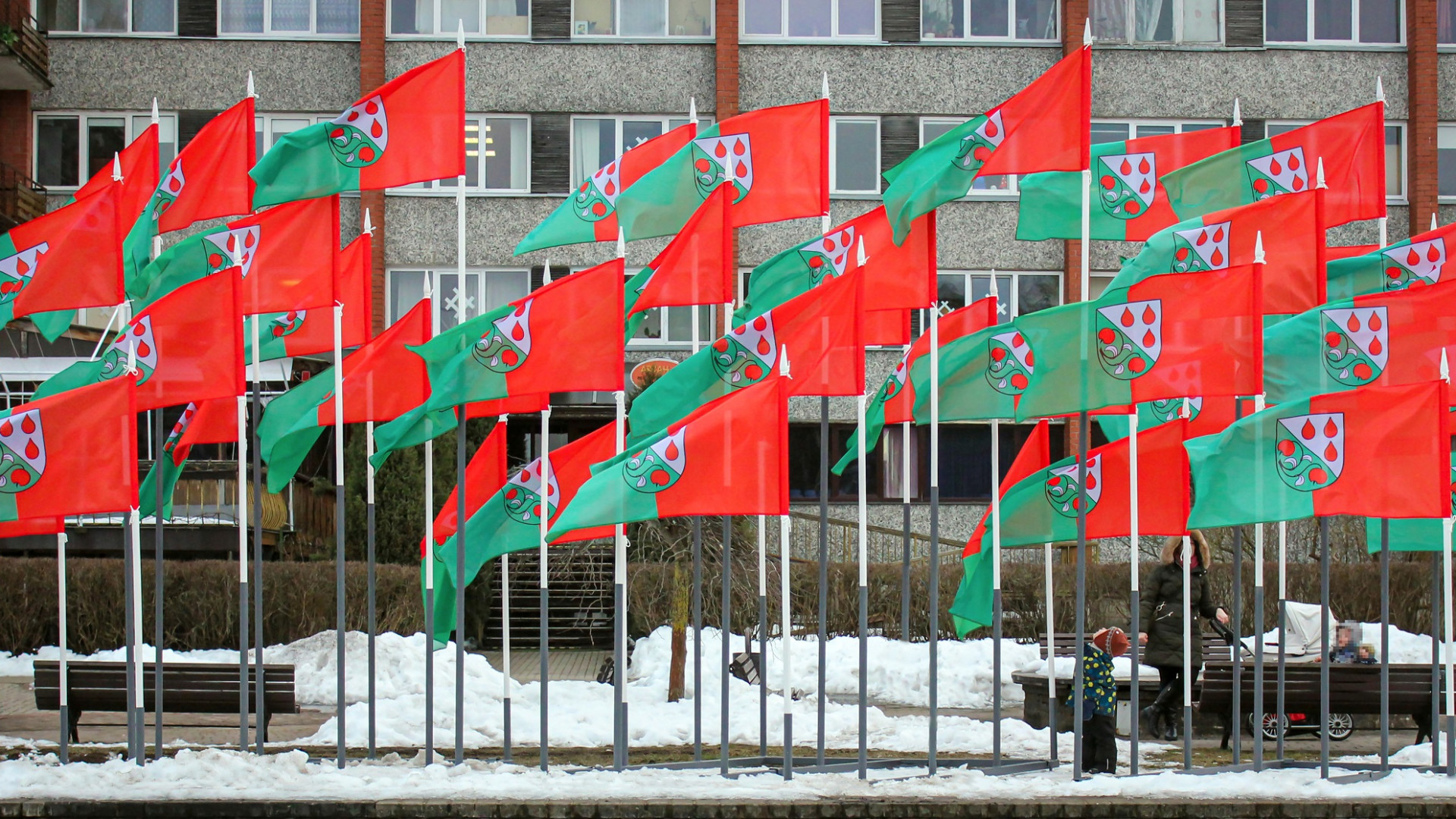 Olaines pilsētas karogi plīvo pilsētas centrā par godu Olaines 55. dzimšanas dienai