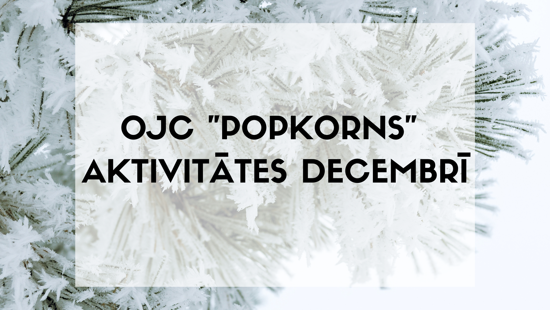 Olaines Jauniešu centra "Popkorns" pasākumi decembrī