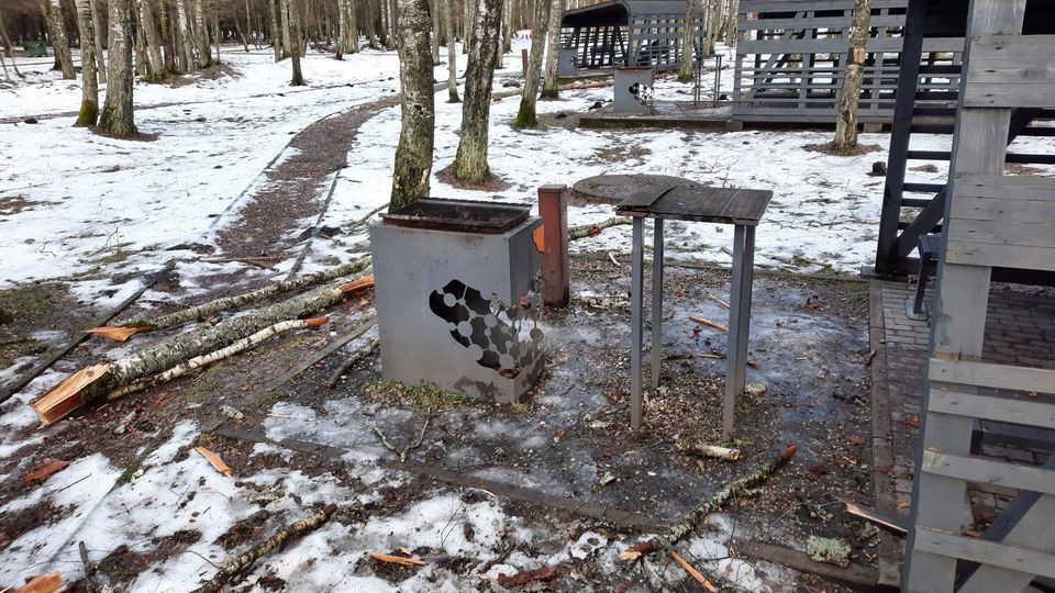 Uzmanību! Stipra vēja laikā aicinām izvairīties no parku un meža apmeklējumiem.  