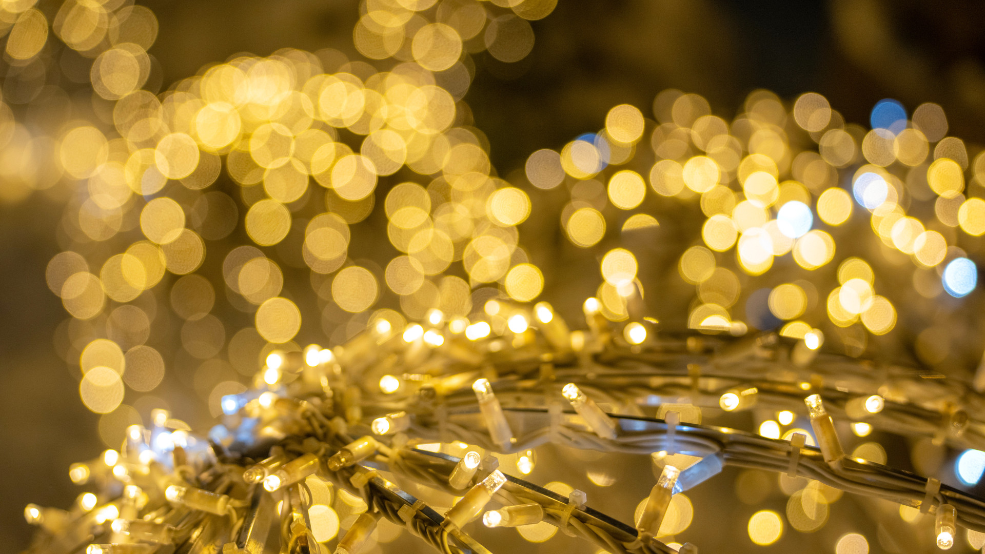 Olaines novads stiprina izglītības nākotni: noteiktas 2026. gada stipendiju prioritārās specialitātes